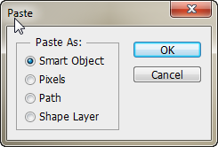 Paste your copied art from Illustrator into Photoshop